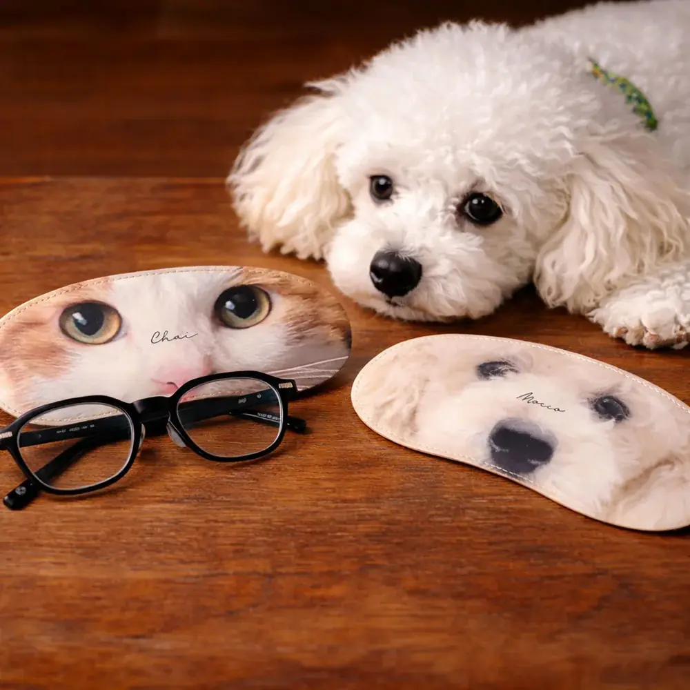 見つめられてる感すごい。愛犬・愛猫の“目”をデザインしたメガネケース新登場。 画像 2