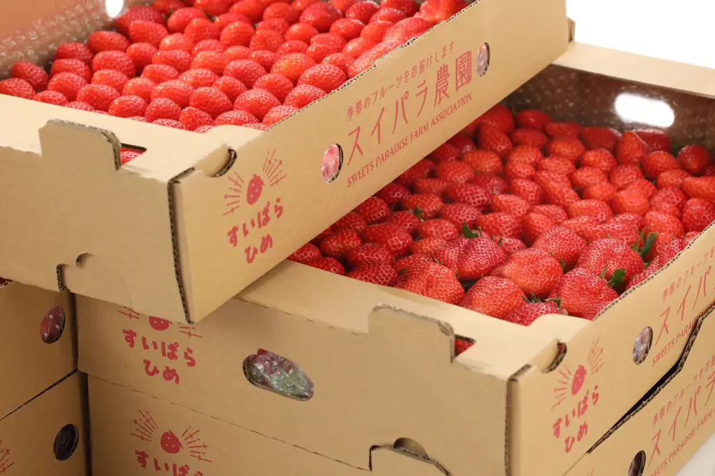 【スイパラ】4/8からの「ブランドいちご食べ放題」では1stプレート限定で「アールスメロン」が仲間入り♪ 画像 3