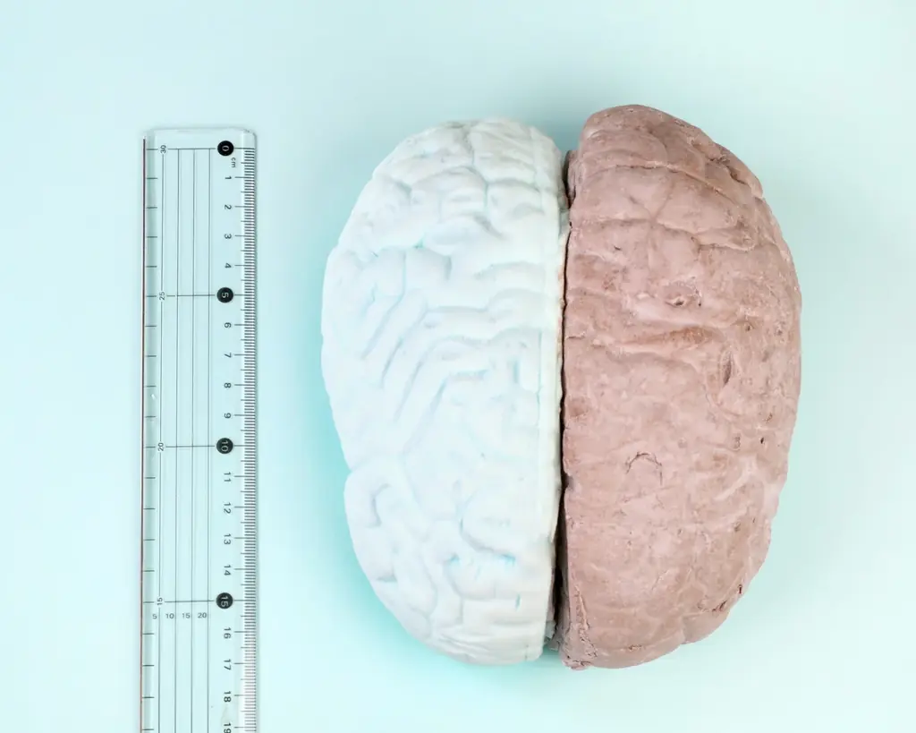 ザクザク65層に“チョコミント脳”？！クセになる新体験　食感もビジュアルも振り切った、マニア仕様スイーツ　全8種PAPABUBBLEのチョコミントシリーズ　4月16日より発売 画像 26