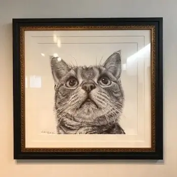 【阪神梅田本店】2年ぶりの開催！暮らしにトキメキを運ぶ“猫アイテムの祭典”が戻ってきます。 画像 10