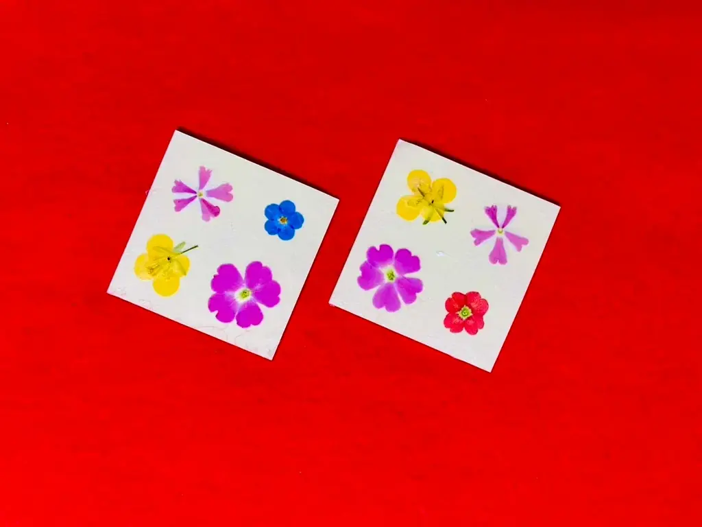 【NEWS】“映え”の先へ。花手水発祥の地が試みる新体験 画像 10