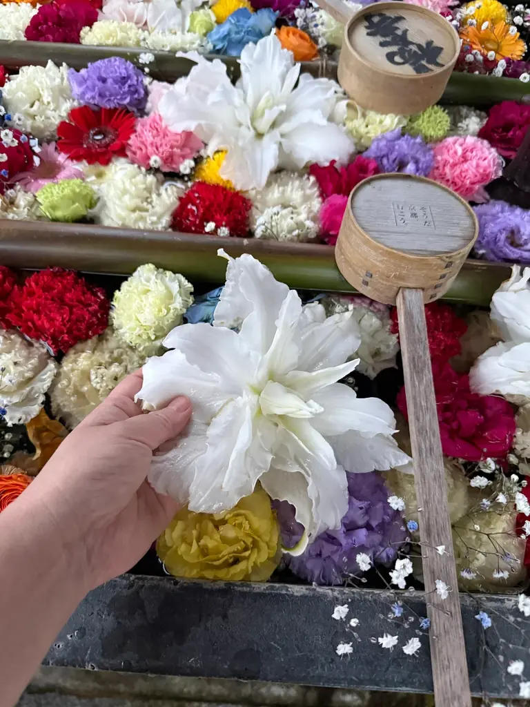 【NEWS】“映え”の先へ。花手水発祥の地が試みる新体験 画像 2