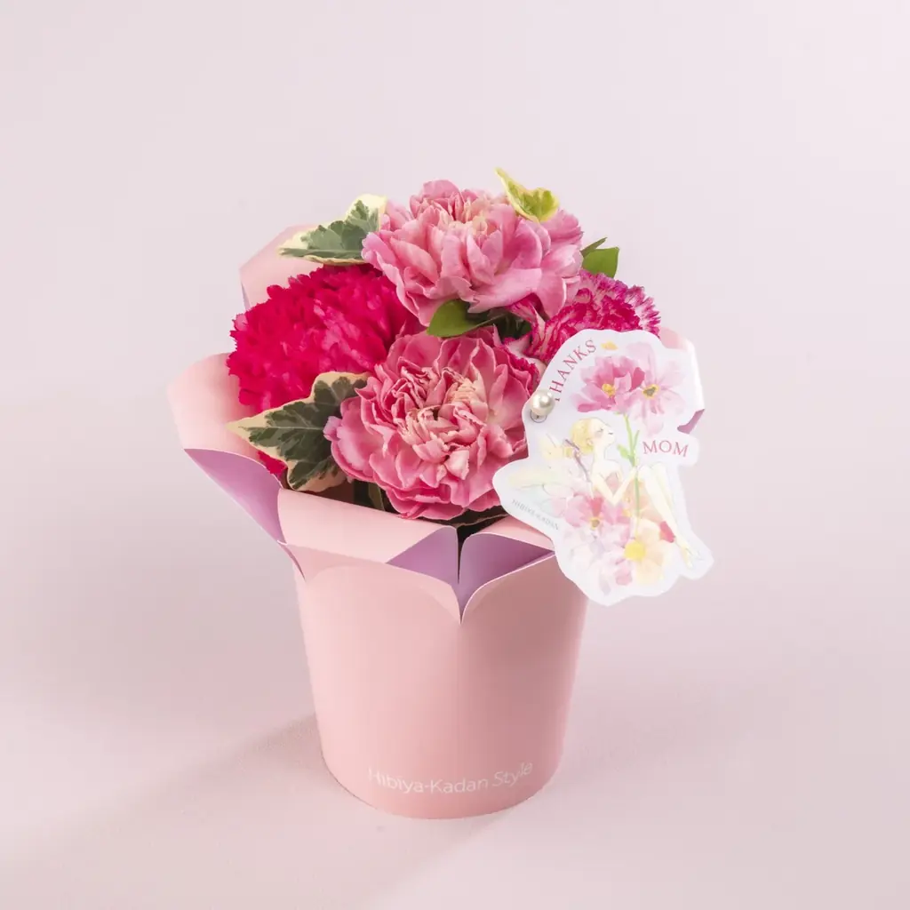 人気イラストレーター湯浅望氏とのコラボギフトが登場！日比谷花壇、母の日店頭ギフト予約を4月3日(金)から全国の店頭で受付開始。 画像 11