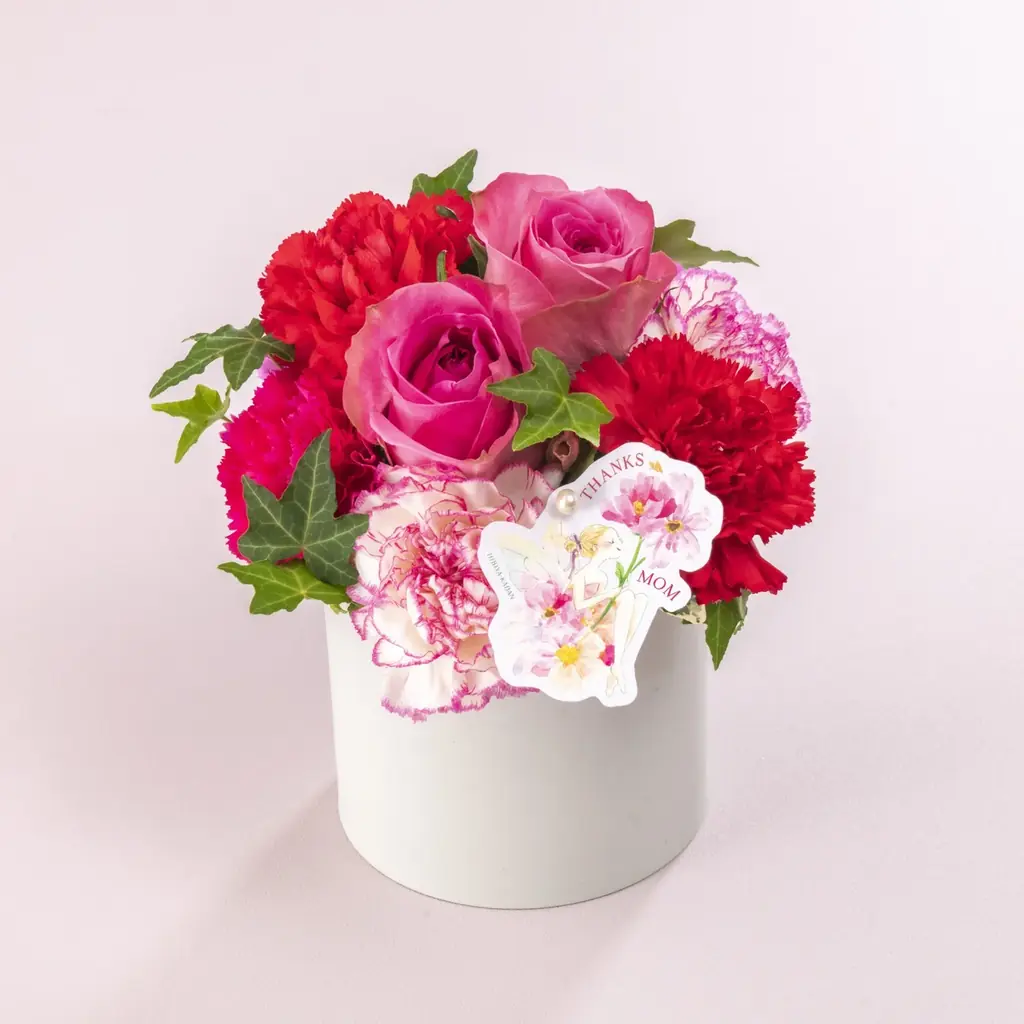 人気イラストレーター湯浅望氏とのコラボギフトが登場！日比谷花壇、母の日店頭ギフト予約を4月3日(金)から全国の店頭で受付開始。 画像 14