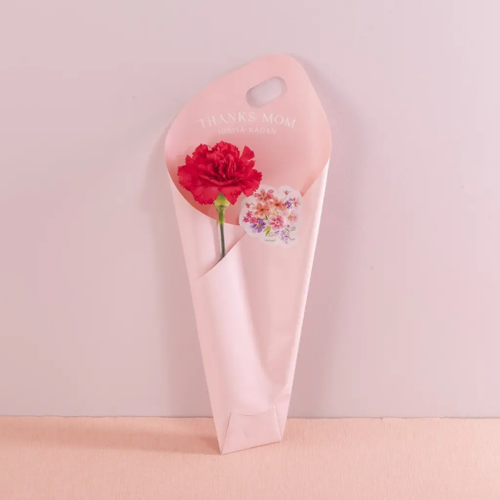 人気イラストレーター湯浅望氏とのコラボギフトが登場！日比谷花壇、母の日店頭ギフト予約を4月3日(金)から全国の店頭で受付開始。 画像 16