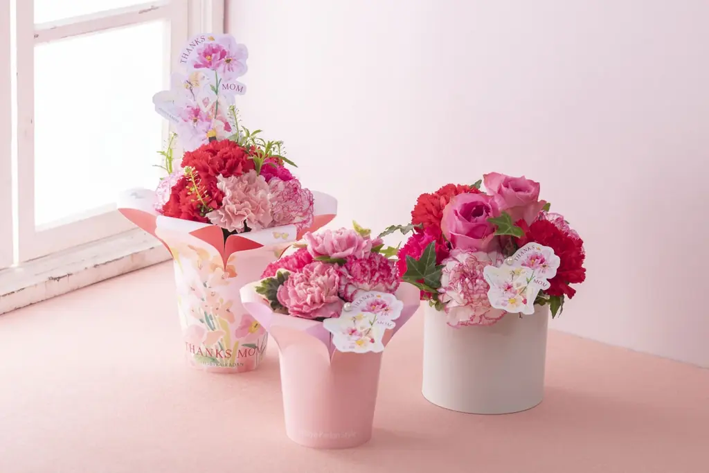 人気イラストレーター湯浅望氏とのコラボギフトが登場！日比谷花壇、母の日店頭ギフト予約を4月3日(金)から全国の店頭で受付開始。 画像 2