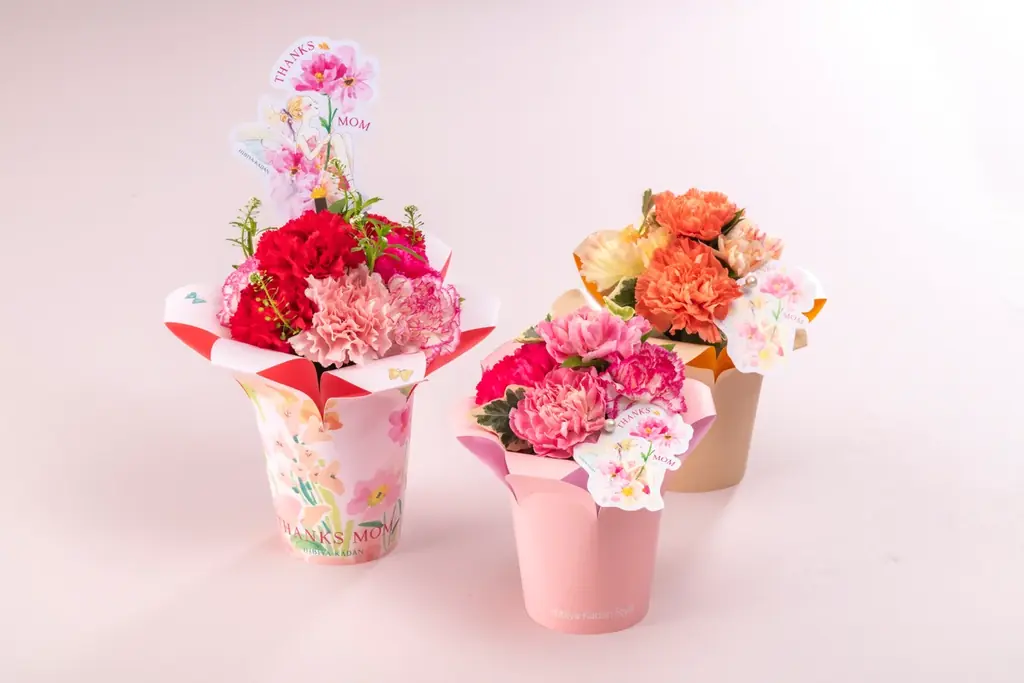 人気イラストレーター湯浅望氏とのコラボギフトが登場！日比谷花壇、母の日店頭ギフト予約を4月3日(金)から全国の店頭で受付開始。 画像 3