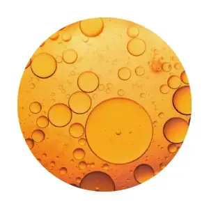 メイクアップアーティストが作った長期的な美しさをサポートするクリーンビューティーブランドrms beauty から「ハイドラアイズカルテット」が新登場！ 画像 14