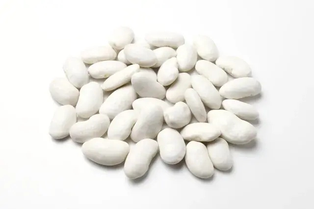 ４月８日は「白花豆エキスの日」 画像 2