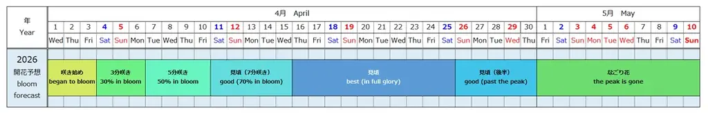 ネモフィラ　明日から3分咲きとなります（国営ひたち海浜公園） 画像 2