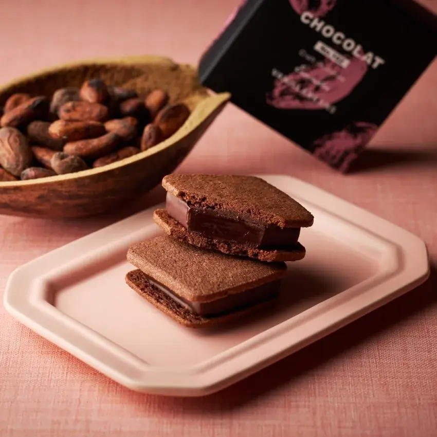 エクアドル大使館とのご縁により出店決定！JR高輪ゲートウェイ駅直結「Gateway Studio」にて、横浜発クラフトチョコレート専門店VANILLABEANSの生チョコサンド4月5日(日)限定販売 画像 2