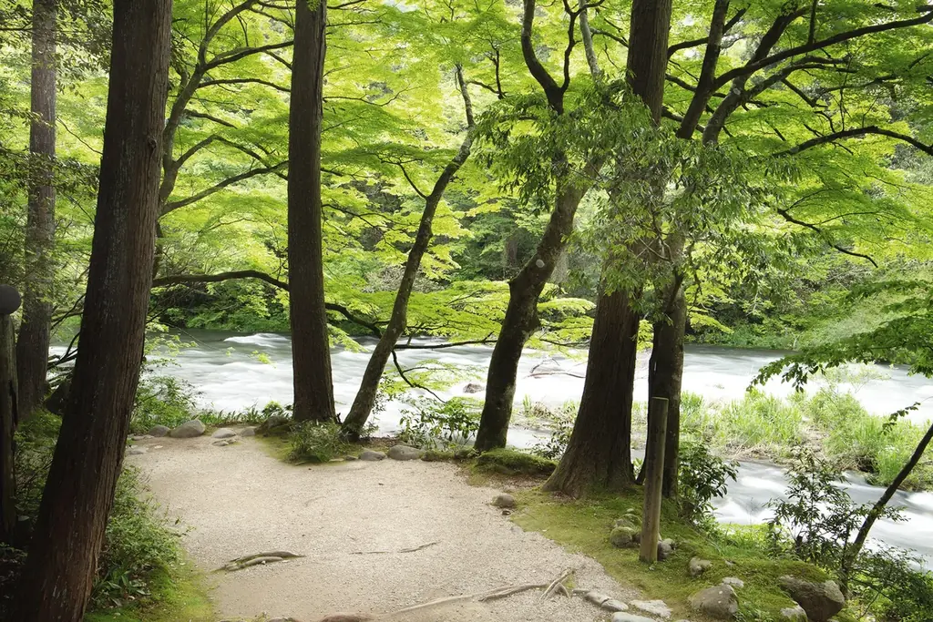 石川の美食【のどぐろ×能登牛フィレステーキ】鉄板会席ディナーを堪能。渓流沿いのモダンな鉄板焼レストランで気取らずいただく。 画像 18