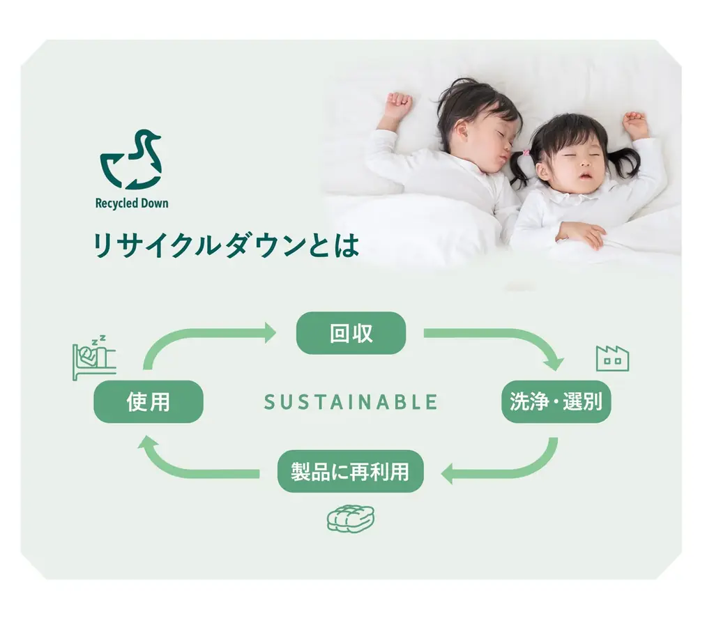 ダウン率70％以上の羽毛布団を11,000円で！新品以上に清潔でエコな再生羽毛×日本の職人芸が光る！春～秋のエアコン冷えや猛暑の寝苦しさに対応した軽やかな『 リサイクル羽毛 肌掛けふとん』が新登場！ 画像 3