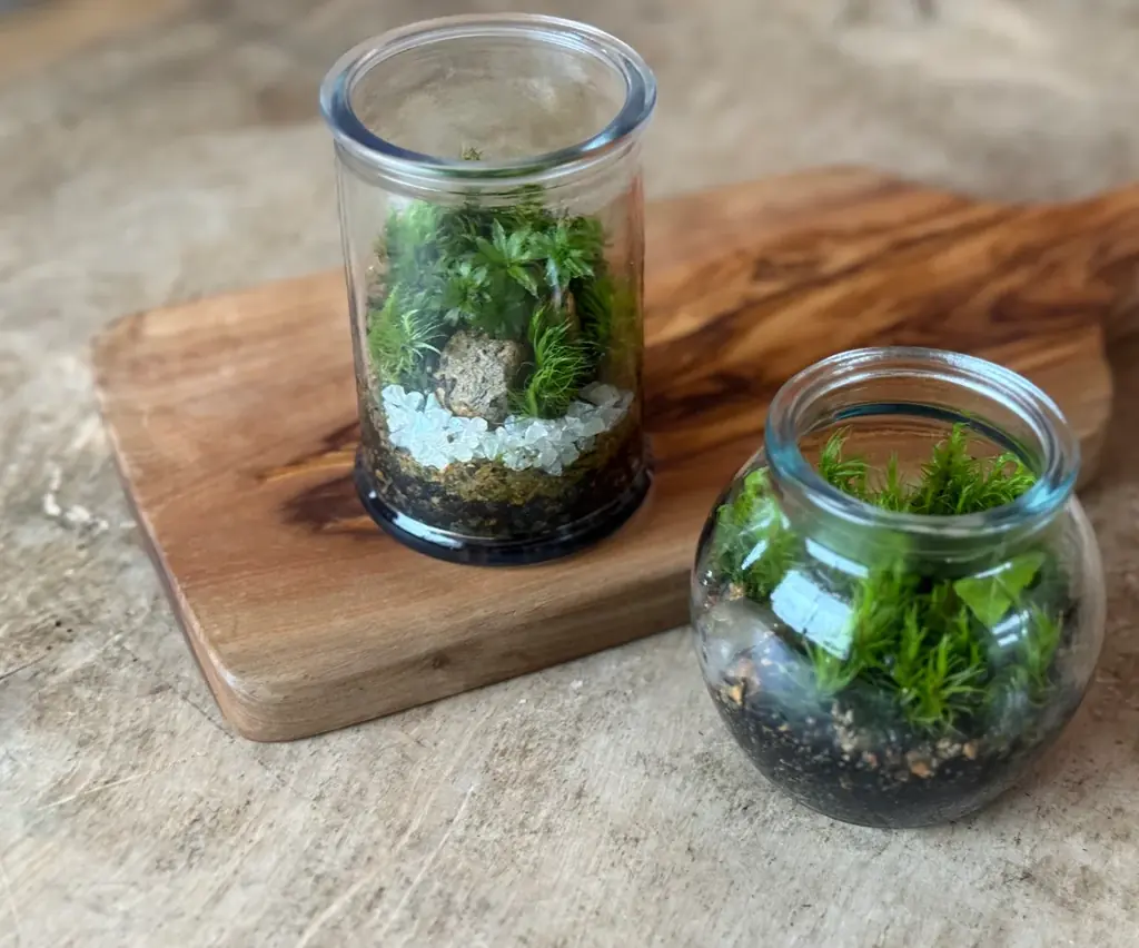 【長野県長野市】道の駅中条、31周年を記念した「感謝祭」を4月11日・12日に開催！ 画像 15