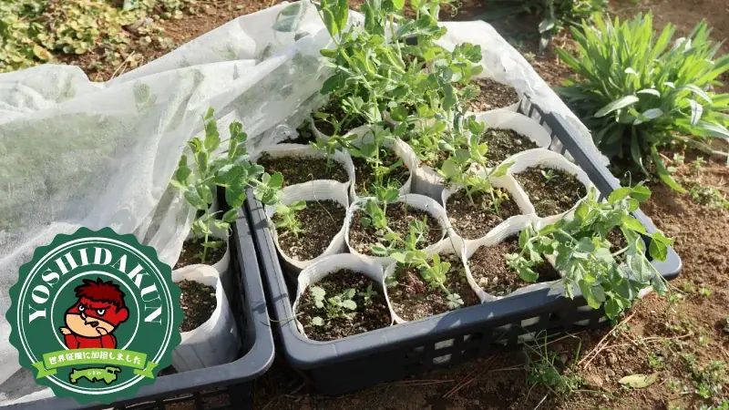 『秘密結社 鷹の爪』放送開始から20周年！4月6日を「鷹の爪団・地球にやさしい世界征服の日」に制定しました。 画像 13