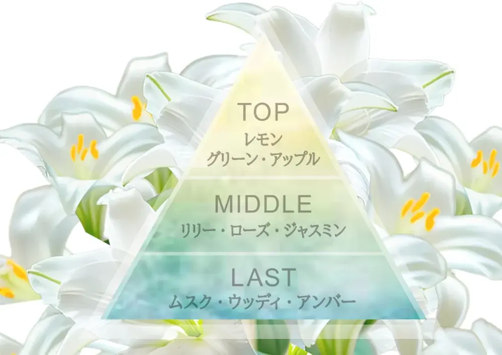 香りだけじゃない、スキンケア発想の”肌いたわる新柔軟剤*¹”が誕生！独自処方 ヒアルロン酸柔軟成分配合*²、”うるふわベール”でなめらかな肌ざわりへ。 画像 5