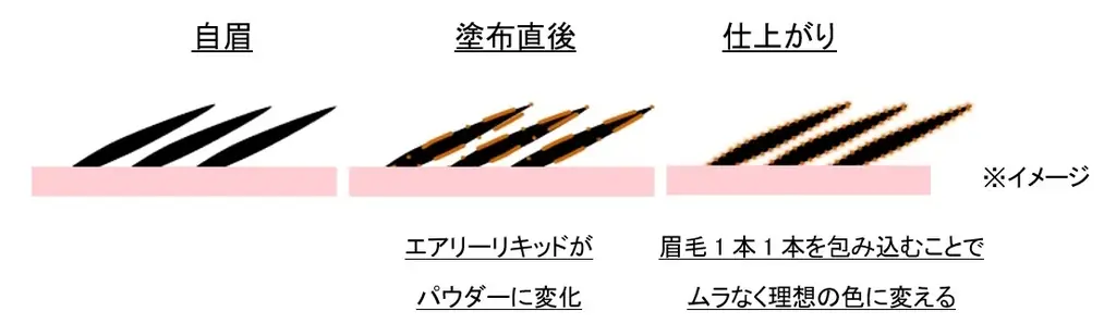 眉の”黒”印象を自然にチェンジ。マキアージュからサロン仕上げ眉マスカラ誕生。～2026年5月21日(木)発売～ 画像 2