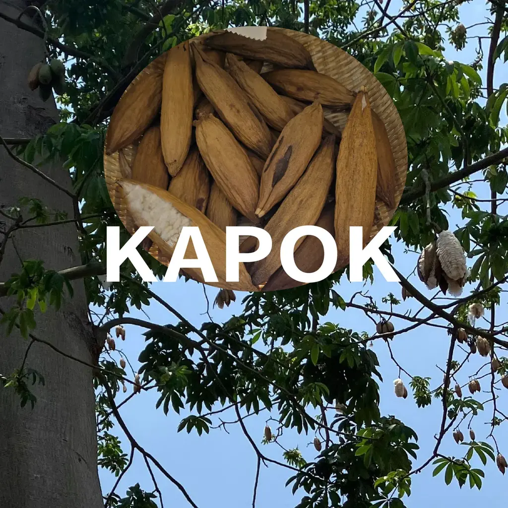 MNインターファッション株式会社、ファッション ワールド 東京 2026＜春＞に出展 画像 7