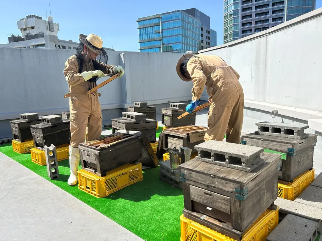 コロンバンが「原宿はちみつヌーヴォー2026」を販売～ミツバチが届ける原宿の春の香り～ 画像 3