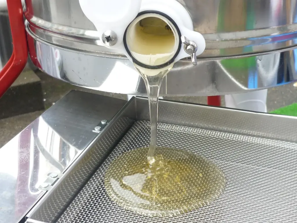 コロンバンが「原宿はちみつヌーヴォー2026」を販売～ミツバチが届ける原宿の春の香り～ 画像 4