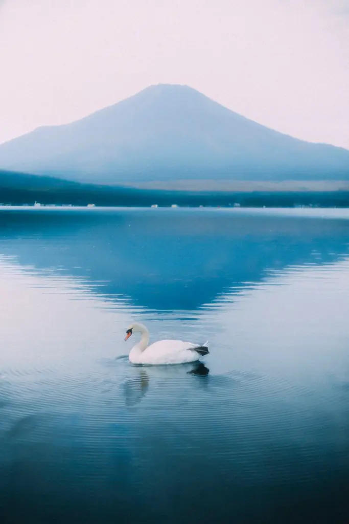 【山中湖サウナ】深さ150cmの“潜れる天然水風呂”「ヴィヒタ山中湖」が快挙！オープン３ヶ月で口コミ100件・星★5.0満点を達成【ロケ歓迎】 画像 15