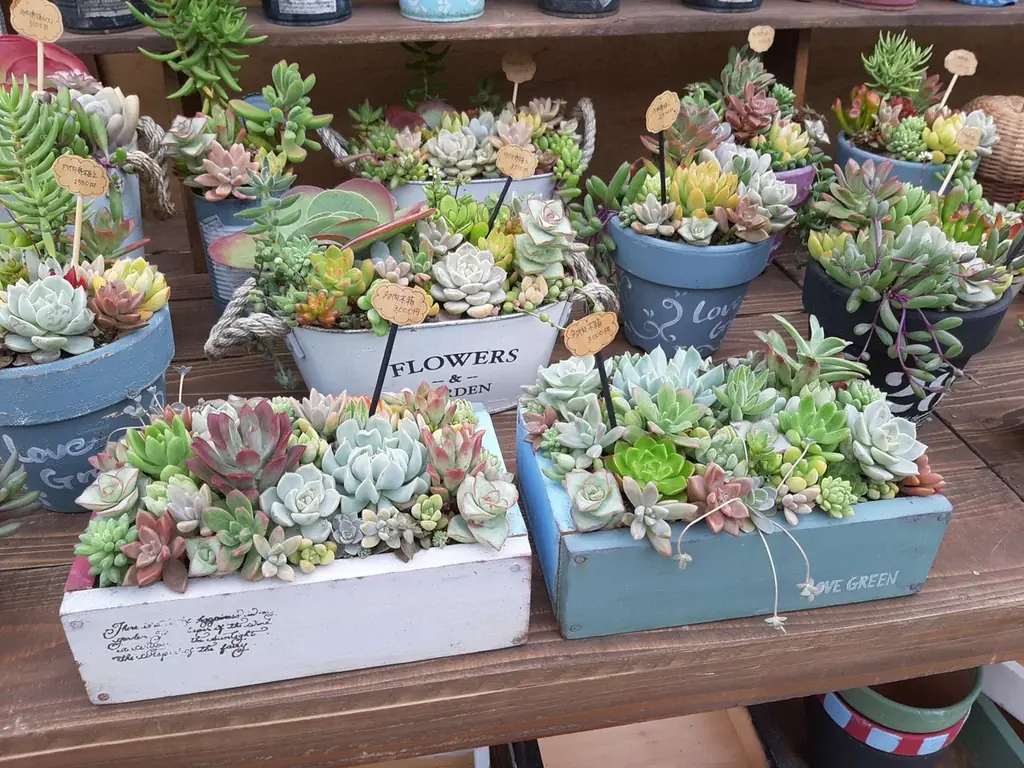 集まれコーヒーLOVER！フェアトレードタウン認定10周年の名古屋で開催！「世界フェアトレード・デー・なごや コーヒーサミット」16回目を迎える規模も歴史も充実したSDGsイベント 画像 16