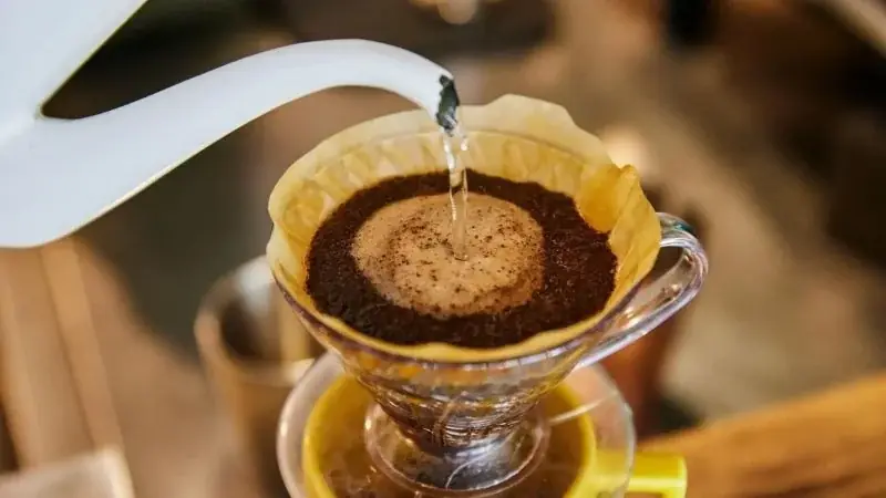 本好き店主と本との出会いを楽しむ！東京・谷根千エリアで開催される1日限りの古本イベント「一箱古本市」がHOTEL GRAPHY 根津にて4月25日（土）に開催 画像 4