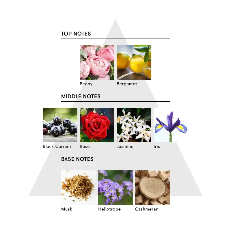 【俳優 桜田通×SINN PURETÉ】がコラボレーション。2つの香りと機能のヘアオイルが誕生！ 画像 13