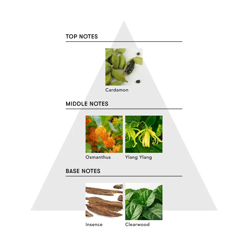 【俳優 桜田通×SINN PURETÉ】がコラボレーション。2つの香りと機能のヘアオイルが誕生！ 画像 5