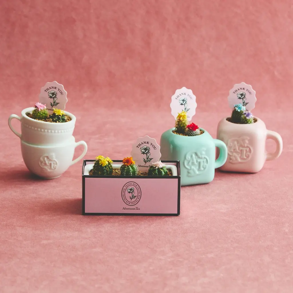 アフタヌーンティー・リビングのギフトコンシェルジュがママ目線で厳選 母の日に贈るおすすめアイテム10選を公開 画像 4