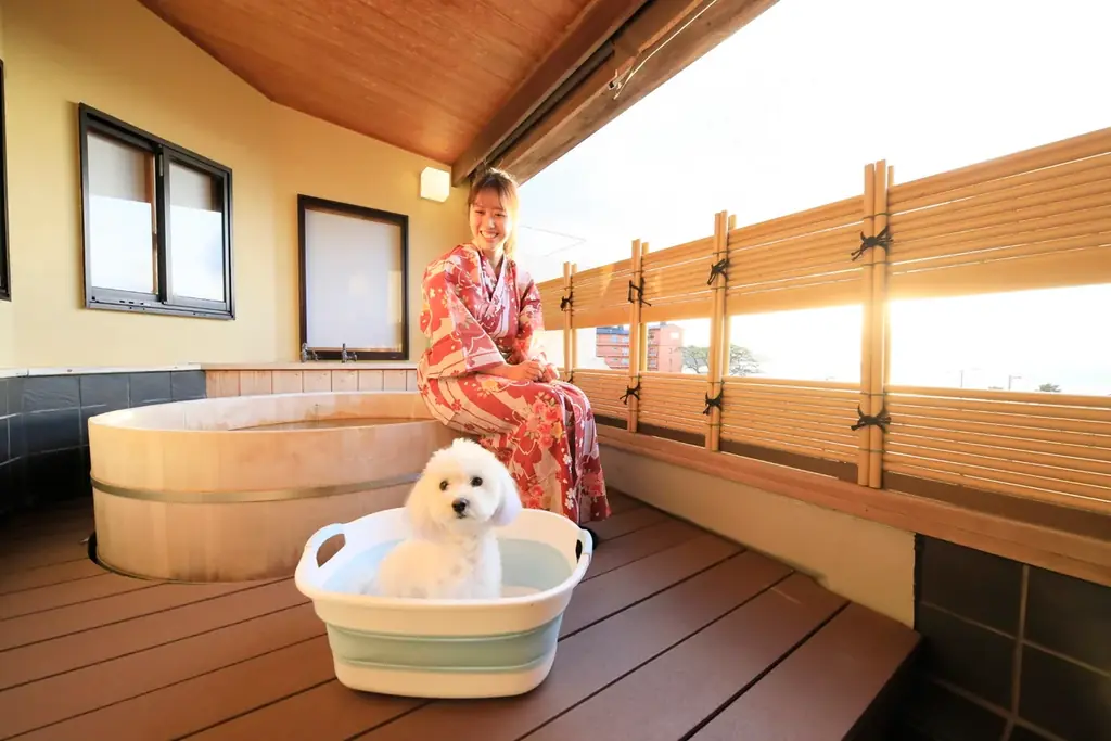 静岡・西伊豆の愛犬宿がウェルカムお茶バー開始　愛犬と一緒に過ごすリフレッシュタイム｜2026年4月12日（日）～ 画像 5