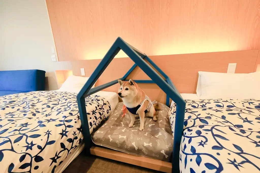 静岡・西伊豆の愛犬宿がウェルカムお茶バー開始　愛犬と一緒に過ごすリフレッシュタイム｜2026年4月12日（日）～ 画像 6