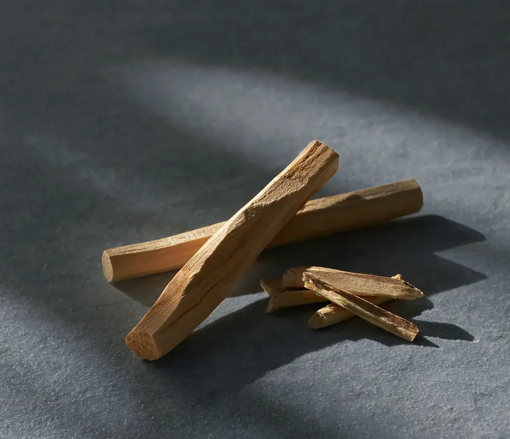 BOTANISTとSALONIA、4月開業「niko and … BASE」のサウナにアメニティ設置　＜心も髪もととのえる＞をテーマに、ツヤ髪仕上げの本格ケアを提案 画像 6