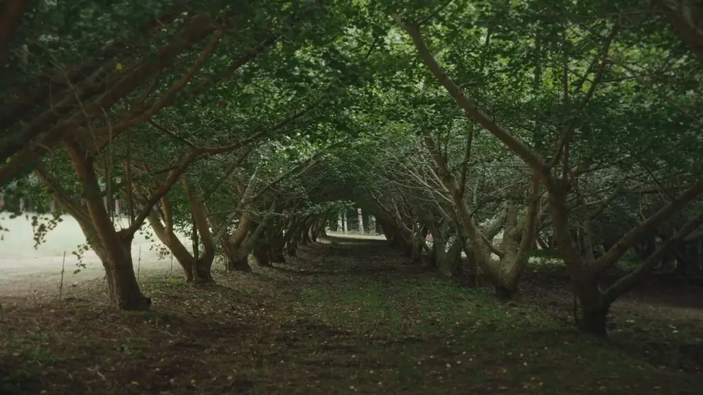 石川県珠洲市高屋町の被災後の暮らしを見つめるドキュメンタリー映画「先に棲む～こちら高屋～」Season.2完成。4月19日（日）金沢21世紀美術館にて上映会開催。 画像 5