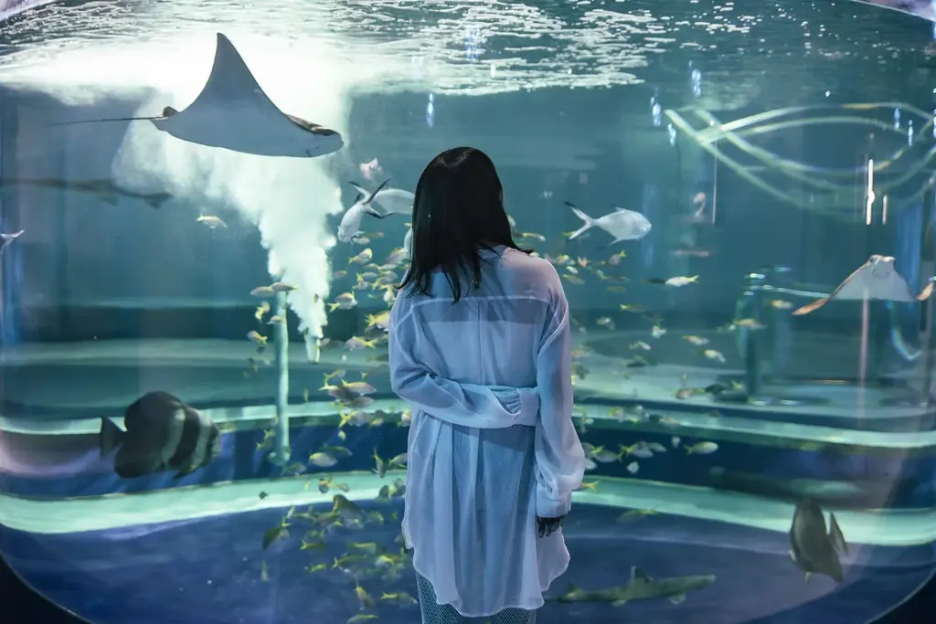 《周年記念企画》アトア × 神戸税関1日限定コラボイベント！ 税関について学ぼう！偽ブランド品展示や「カスタムくん×スピ」の初グリーティングも 画像 6