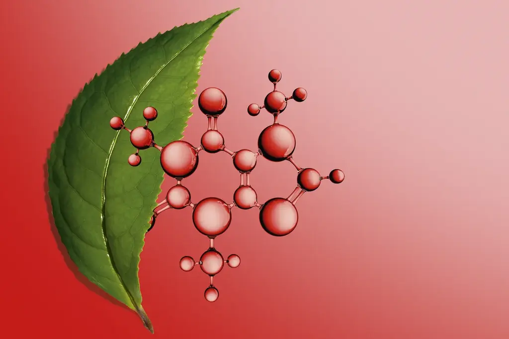 なめらかで、引き締まったボディの肌へ。人気のボディ用美容液に限定サイズが登場 画像 3