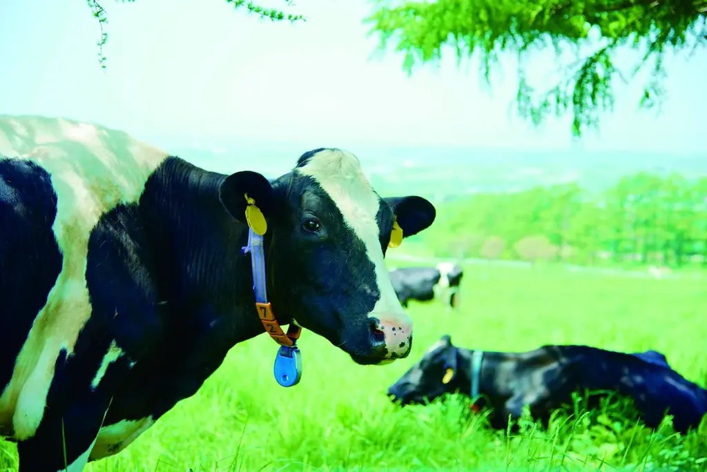 今年も「北海道ミニソフト」3種類が100円引きに！4/8（水）〜4/29（水）の期間限定で北海道を味わうソフトクリームがお得に愉しめるキャンペーンを実施 画像 6