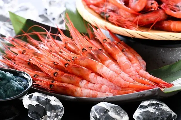 【福井県坂井市】市制施行20周年記念「出張！なんでも鑑定団in坂井」を初めて開催します！ 画像 10