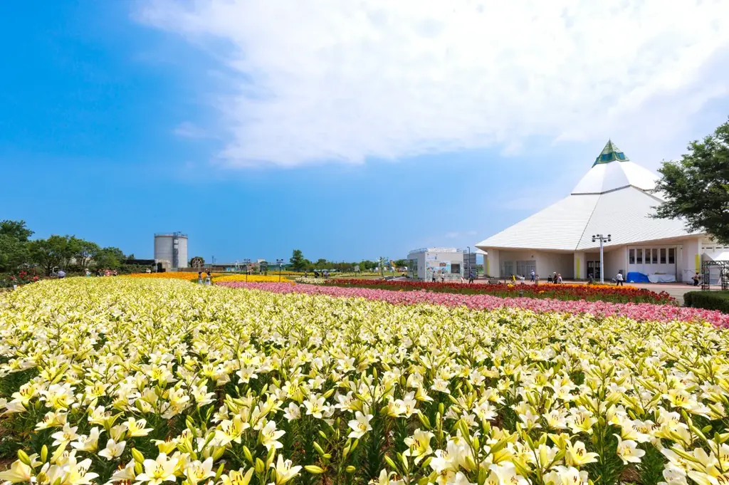 【福井県坂井市】市制施行20周年記念「出張！なんでも鑑定団in坂井」を初めて開催します！ 画像 7