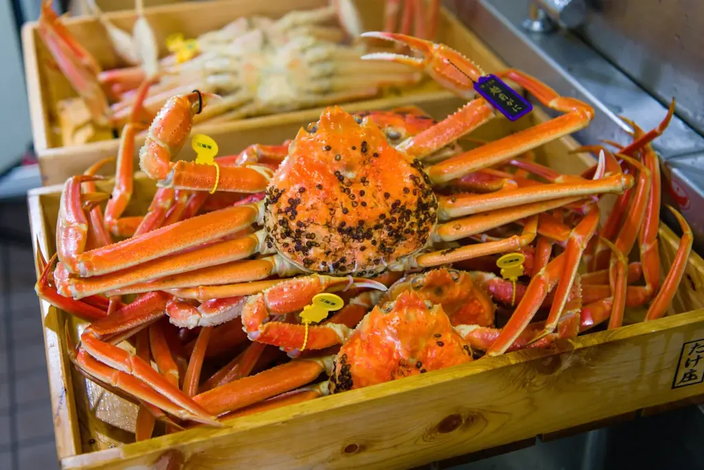 【福井県坂井市】市制施行20周年記念「出張！なんでも鑑定団in坂井」を初めて開催します！ 画像 9