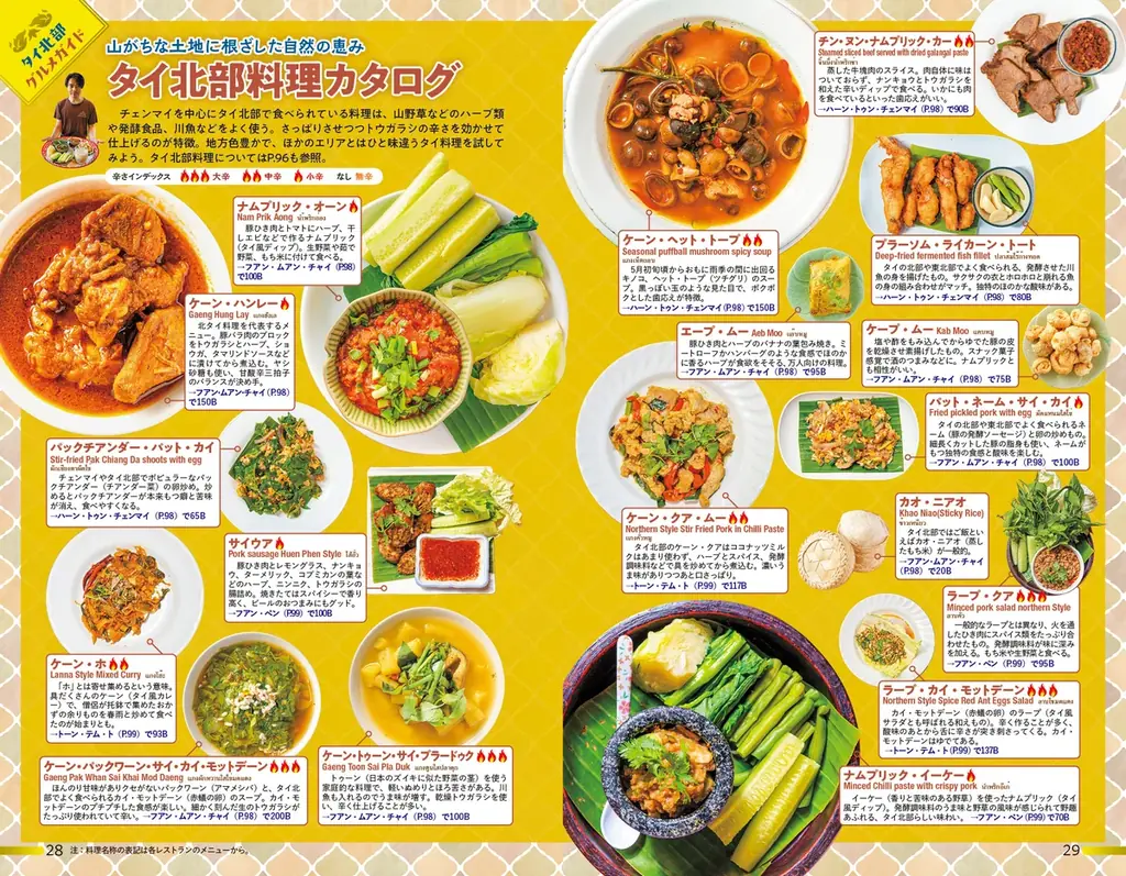 『地球の歩き方』から待望の新刊登場！　タイ北部の魅力を詰め込んだ決定版『チェンマイ タイ北部の魅力的な町 2026～27』を4月9日に発売。往復航空券やオリジナルグッズが当たる創刊記念キャンペーンも！ 画像 4