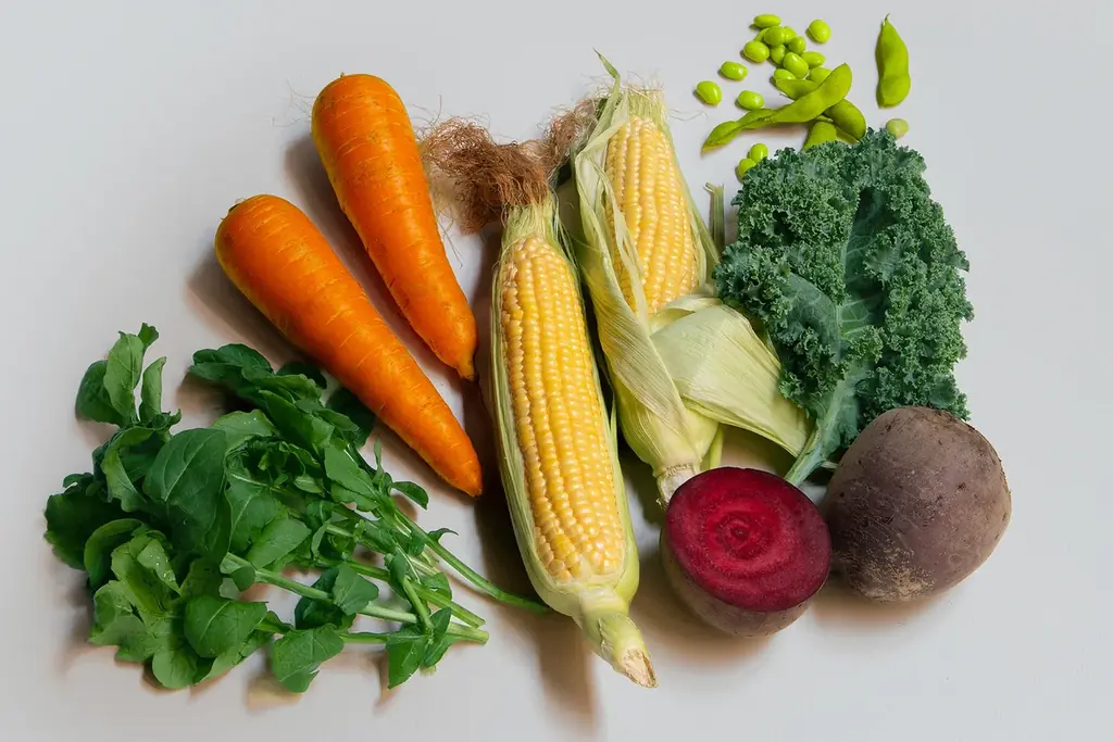 NIKKO が新ブランド「BONEARTH FOOD MARKET」から“地球を味わうベジタブルクラフトアイスクリーム” を4月9日（木）にオンラインストアにて発売 画像 3