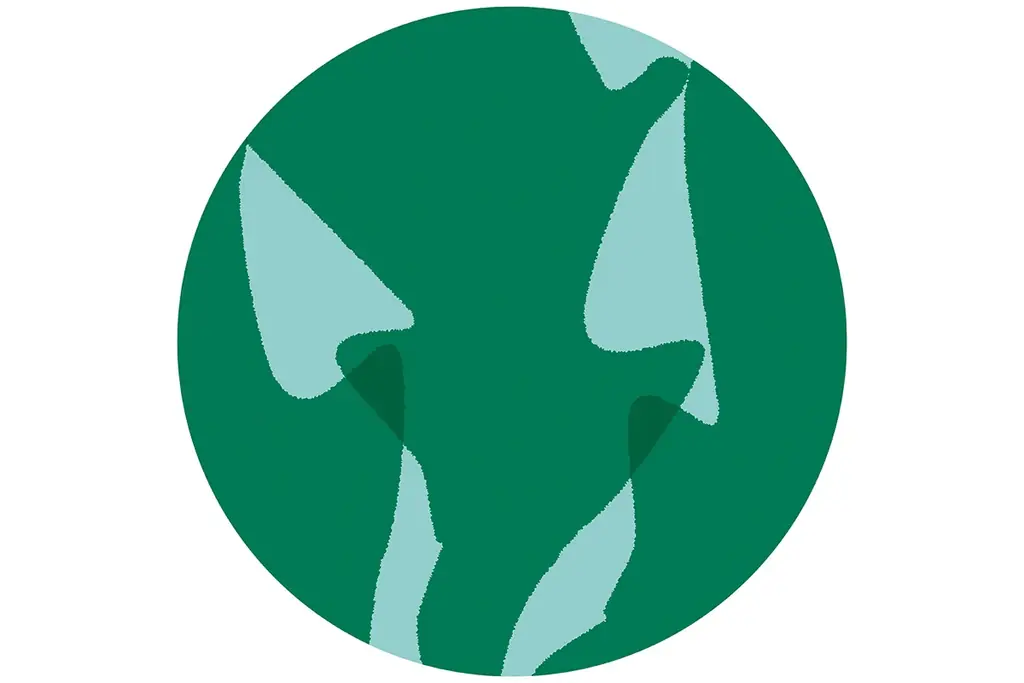 NIKKO が新ブランド「BONEARTH FOOD MARKET」から“地球を味わうベジタブルクラフトアイスクリーム” を4月9日（木）にオンラインストアにて発売 画像 4