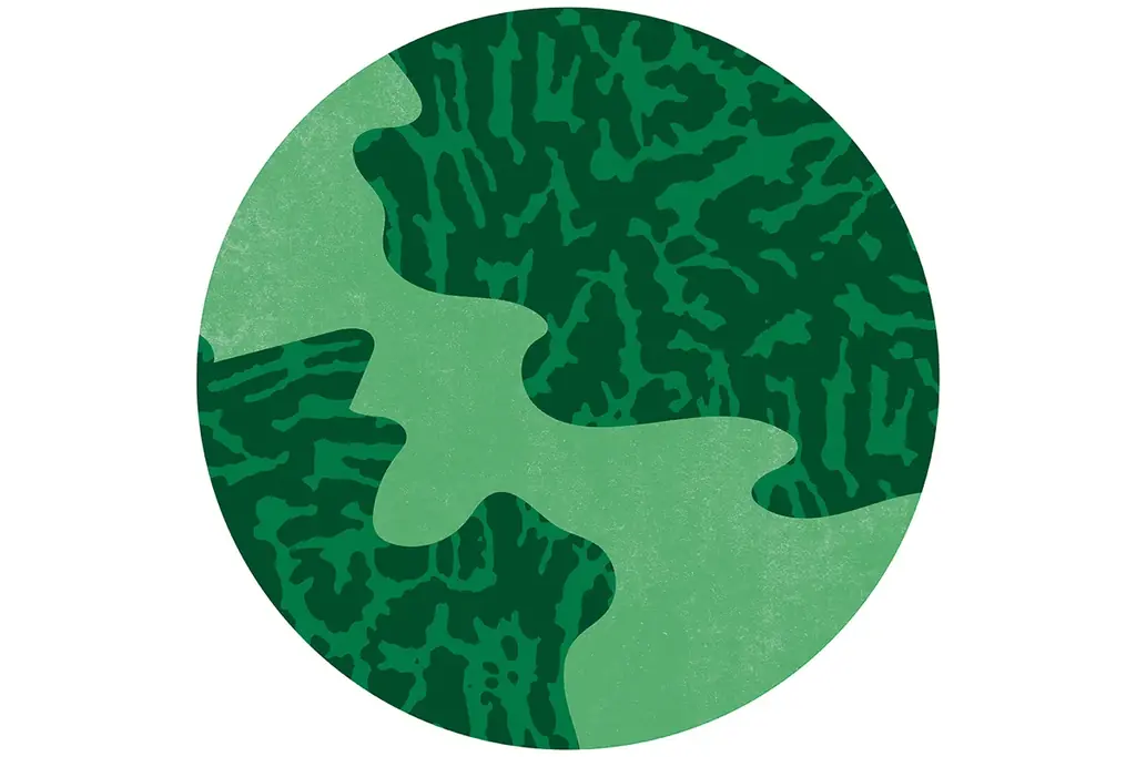 NIKKO が新ブランド「BONEARTH FOOD MARKET」から“地球を味わうベジタブルクラフトアイスクリーム” を4月9日（木）にオンラインストアにて発売 画像 8