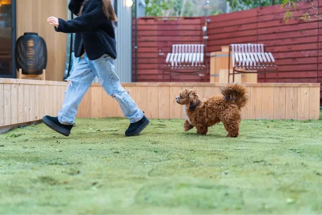 愛犬もOK！全棟サウナ・露天風呂付ヴィラ「ソラトニワ熱海伊豆山 別邸」がオープン記念プラン販売｜2026年6月30日まで 画像 9