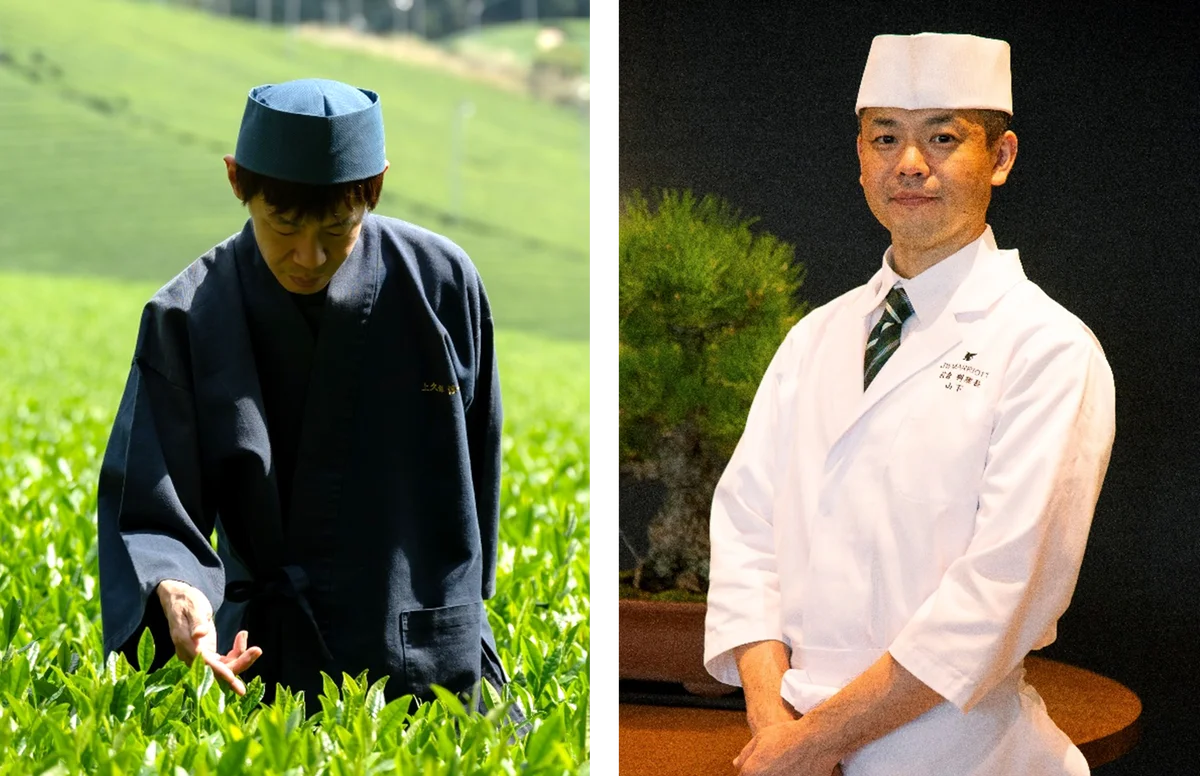 5月8日開催｜JW奈良で上久保茶園の新茶摘み体験会席ランチ