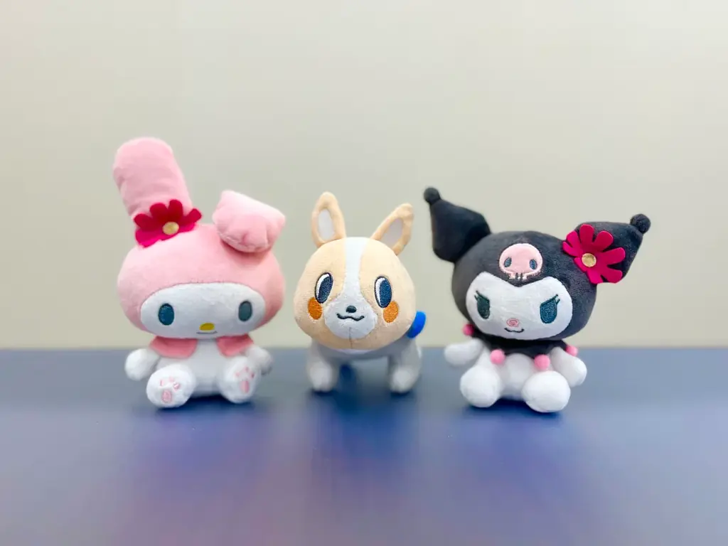 2026年サンリオキャラクター大賞 パートナー部門に「ちばコーギー✕マイメロディ・クロミ」がエントリーします！ 画像 2