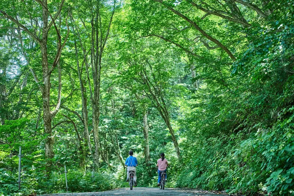 【谷川岳ヨッホ】真夏でも水温10℃前後。日本三大岩壁「一ノ倉沢」の絶景と雪解け水で納涼体験「ひんやり天然足水」初開催 画像 5