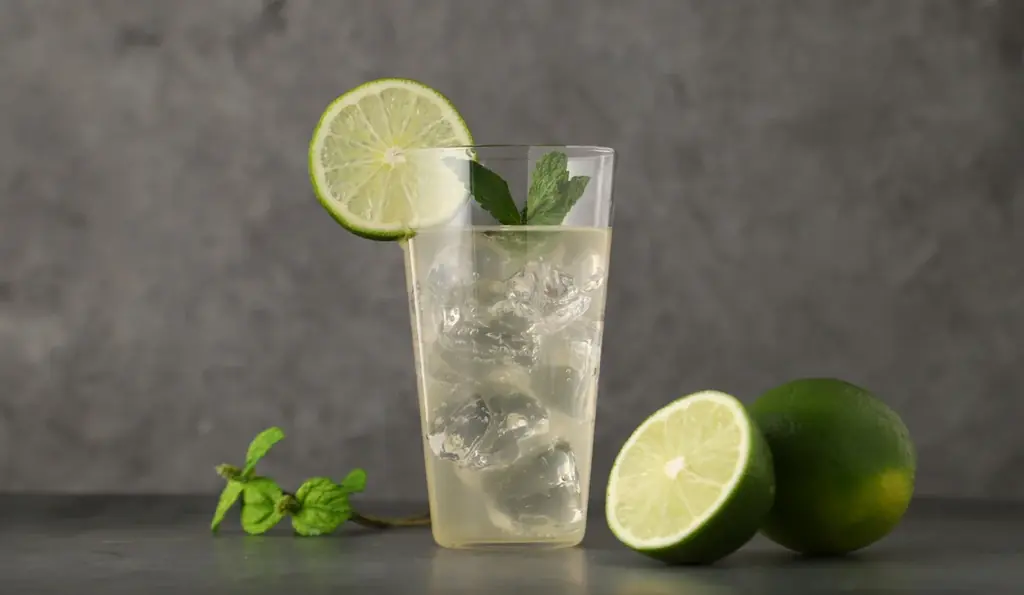 圧倒的な爽快感を追求した「国産ライムのジンモヒート」を販売開始 画像 4