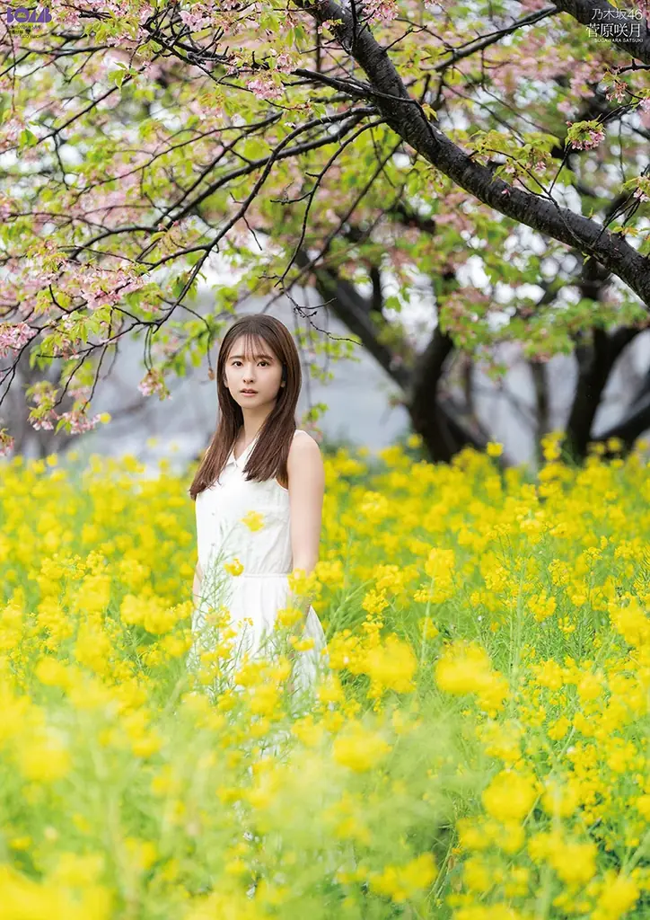 創刊47周年記念号！14周年の乃木坂46、菅原咲月表紙巻頭、林瑠奈グラビア！櫻坂46向井純葉＆村井優ペアグラビア！佐々木ほのか、池本しおり、磯貝花音、松本日向、豊田ルナと水着グラビアも充実！ 画像 4